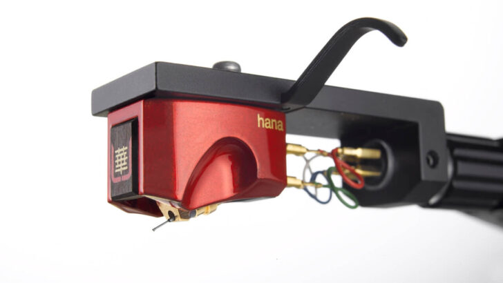 Hana Umami Red head2 scaled 1