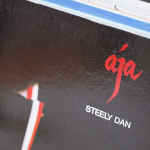 steelydan lp 2