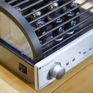evo100 phono thumb