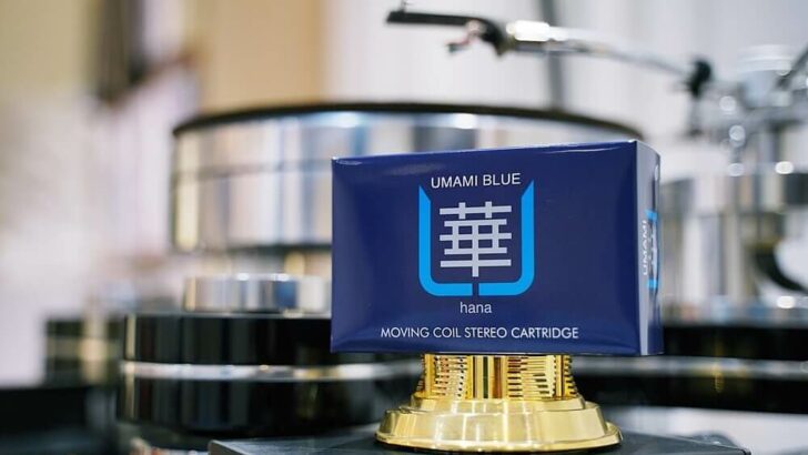 hana umami blue thumb