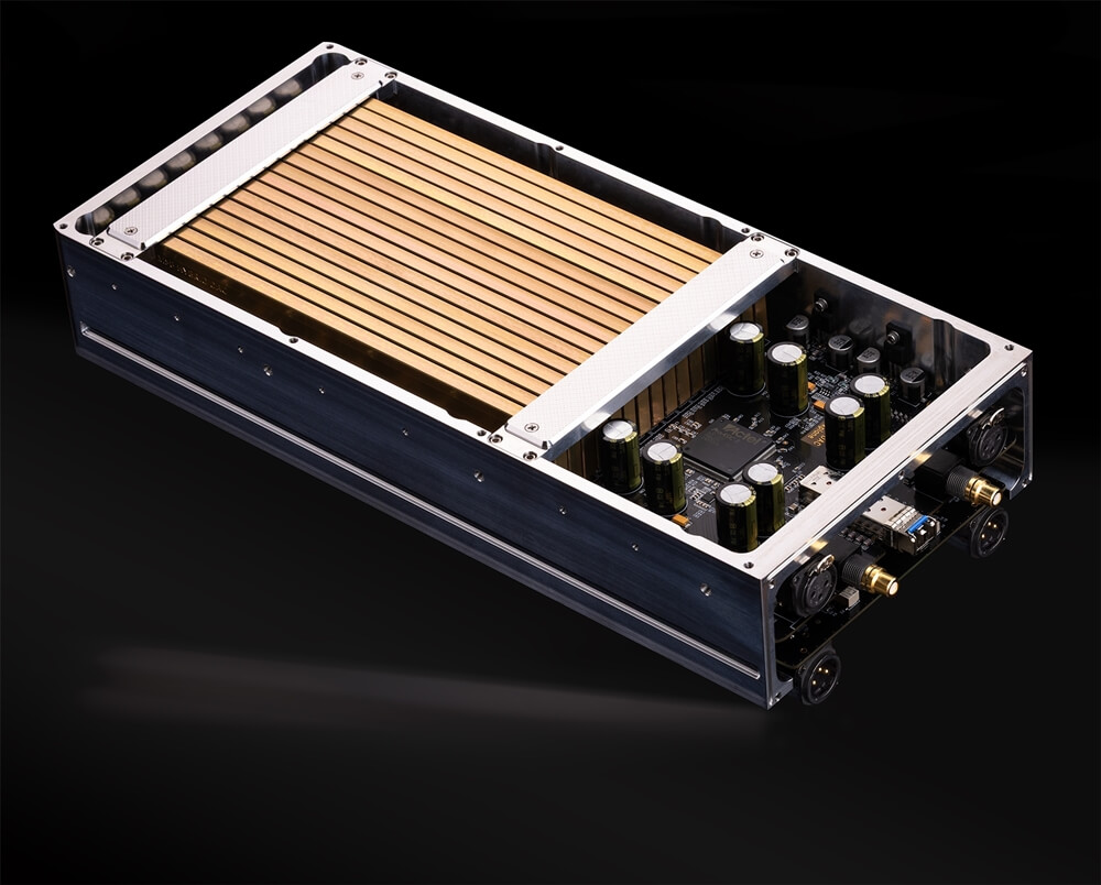 The Sentinel DAC Mono DAC Module