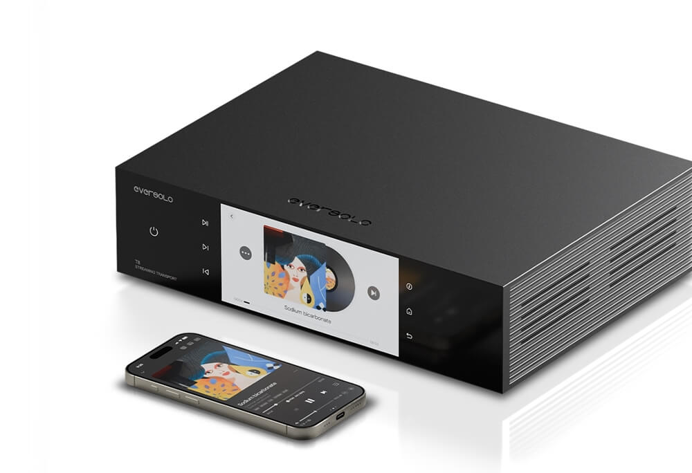 eversolo t8 side