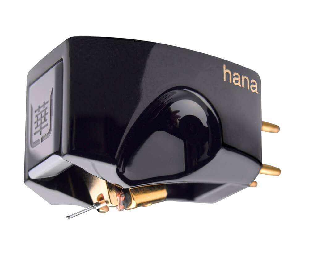 hana umami black 2