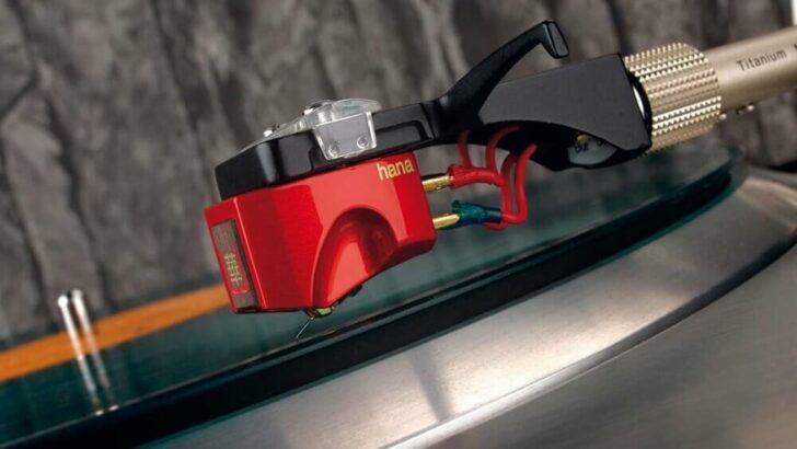 hana umami red bild 1641466732