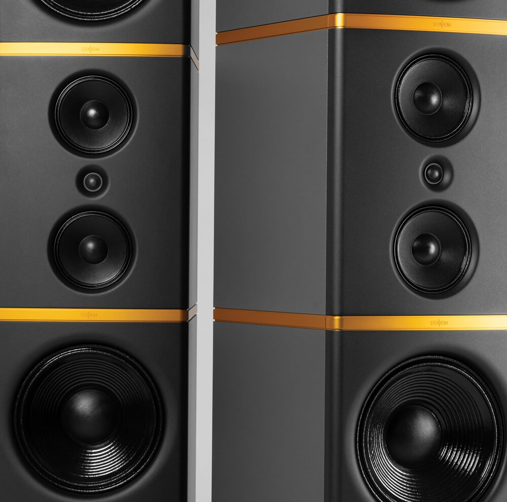 TAS 363 STEINHEIM REPRINT FEATURE 8