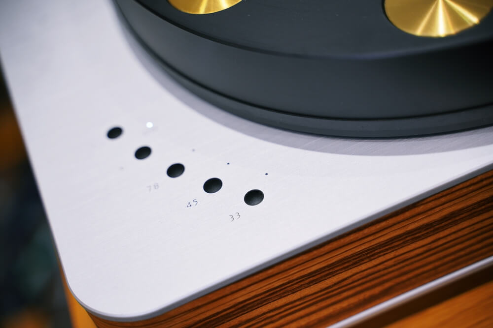 drfeikert blackbird 11