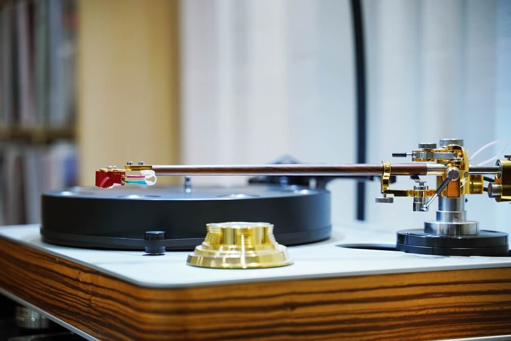 drfeikert blackbird 2