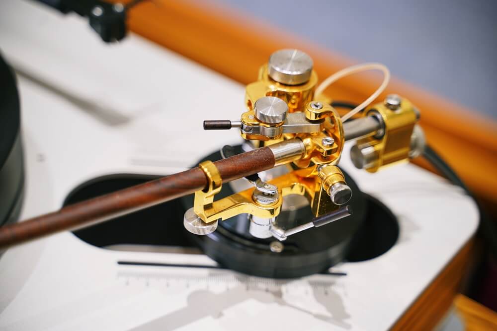 drfeikert blackbird 7