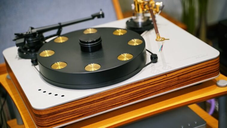 drfeikert blackbird thumb