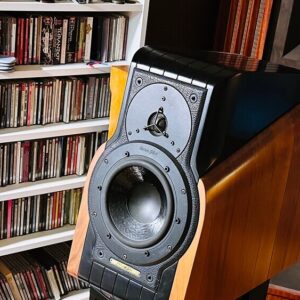 sonusfaber extrema thumb 1