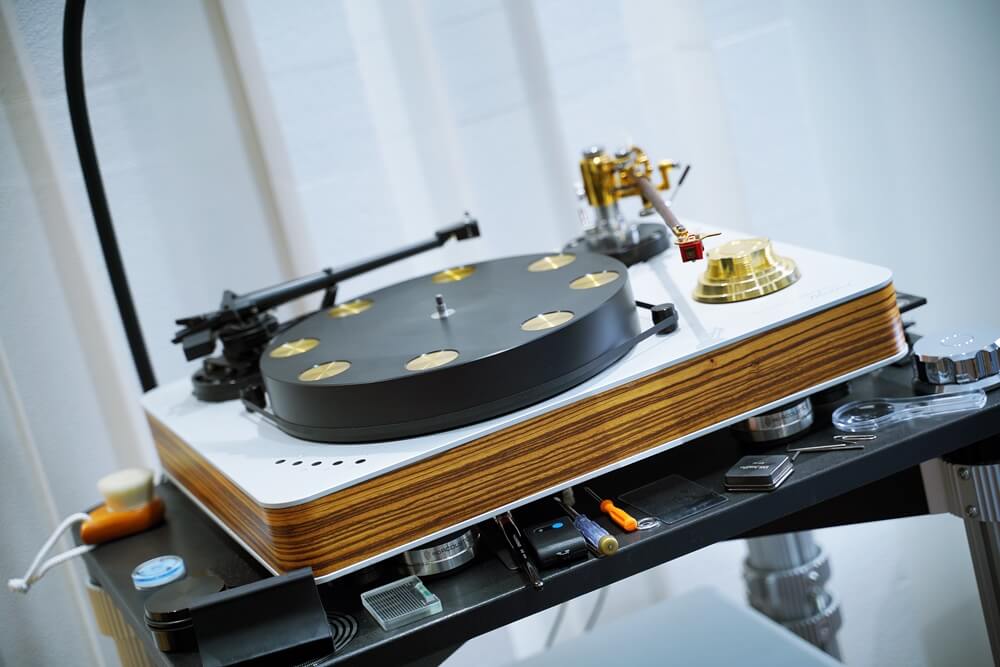 dr feickert blackbird