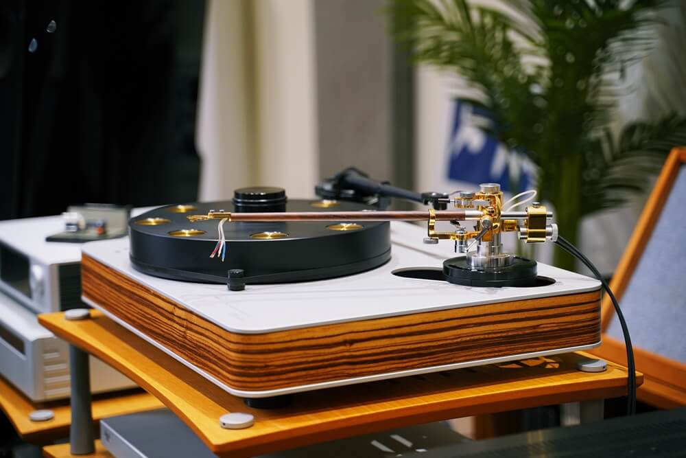 drfeikert blackbird 1