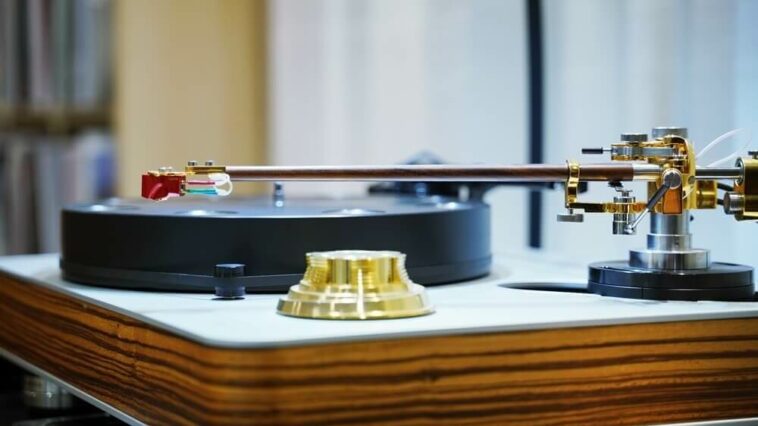 drfeikert blackbird 2