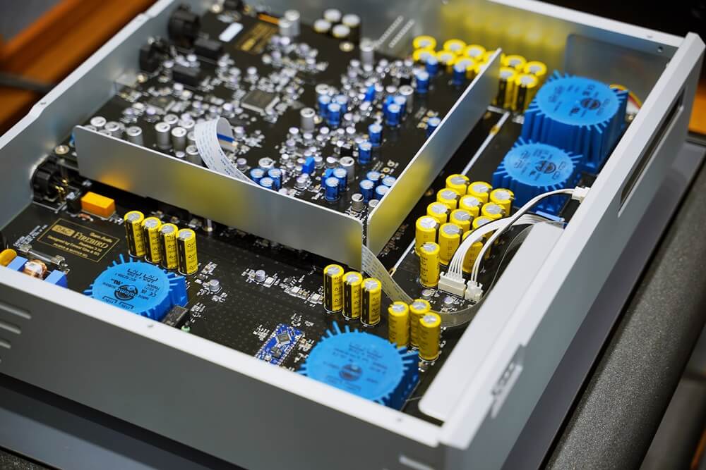 bann firebird lastdance 31