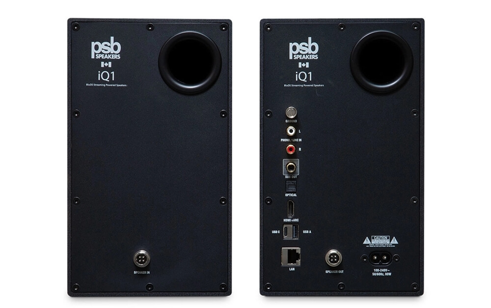 psb iq1 back